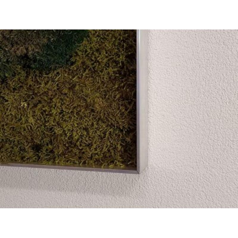 Schilderij gemaakt van rendiermos