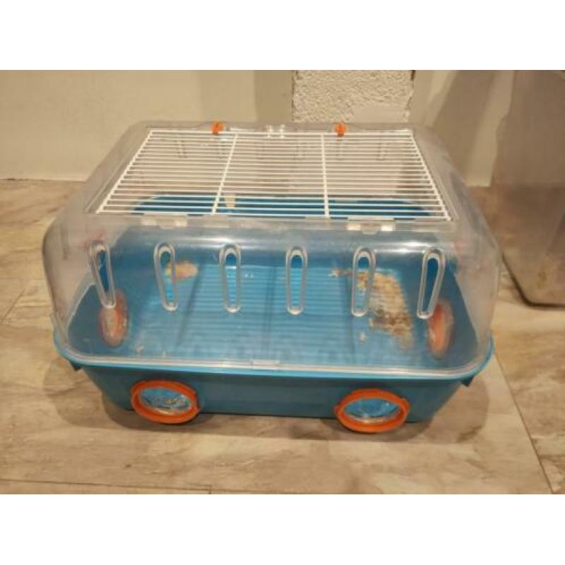 Hamsterkooi
