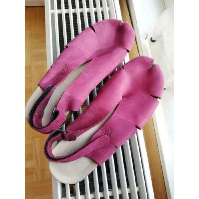 Fantastische fuchsia Loints of Holland maat 41