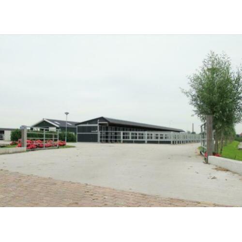 Stal met uitloop bij Paardenpension de Veerstalhoeve