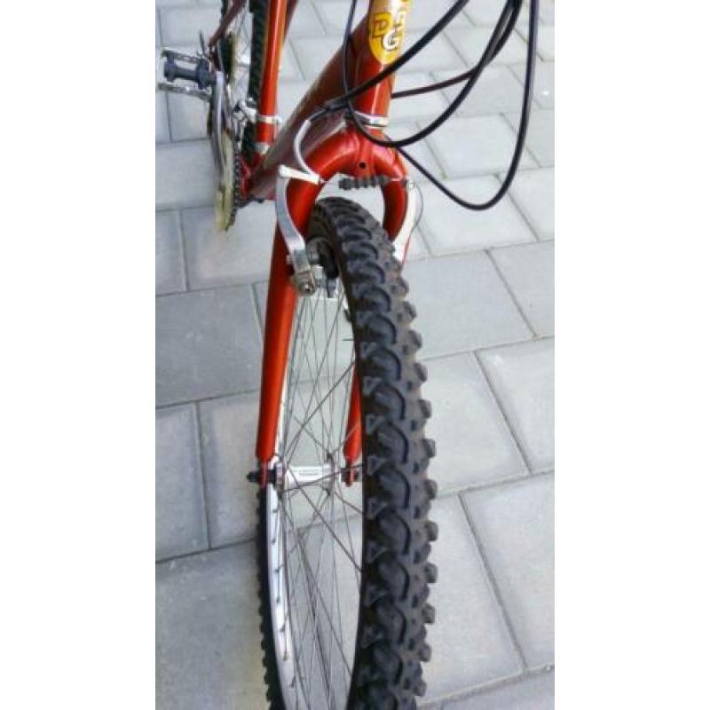 Stevige Mountainbike Ranger Ferrara Shimano 26 Inch.