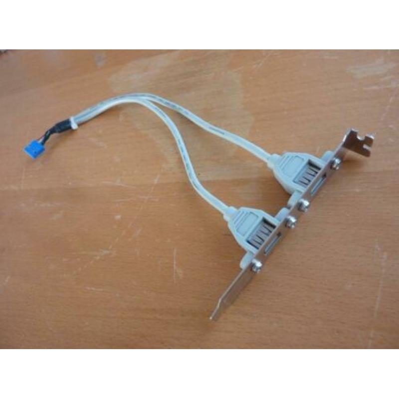 9 Pin Moederbord connector naar 2 poorten USB 2.0 ZGAN