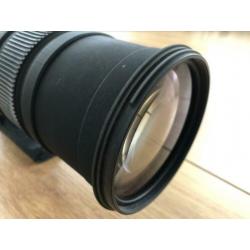 Sigma 150-500 (canon)