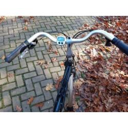 Dames fietsen