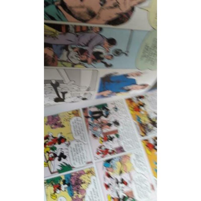 Prachtig boek 80 jaar mickey mouse