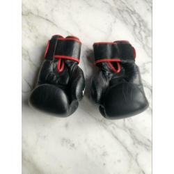 Bokshandschoenen Joya 14 -oz