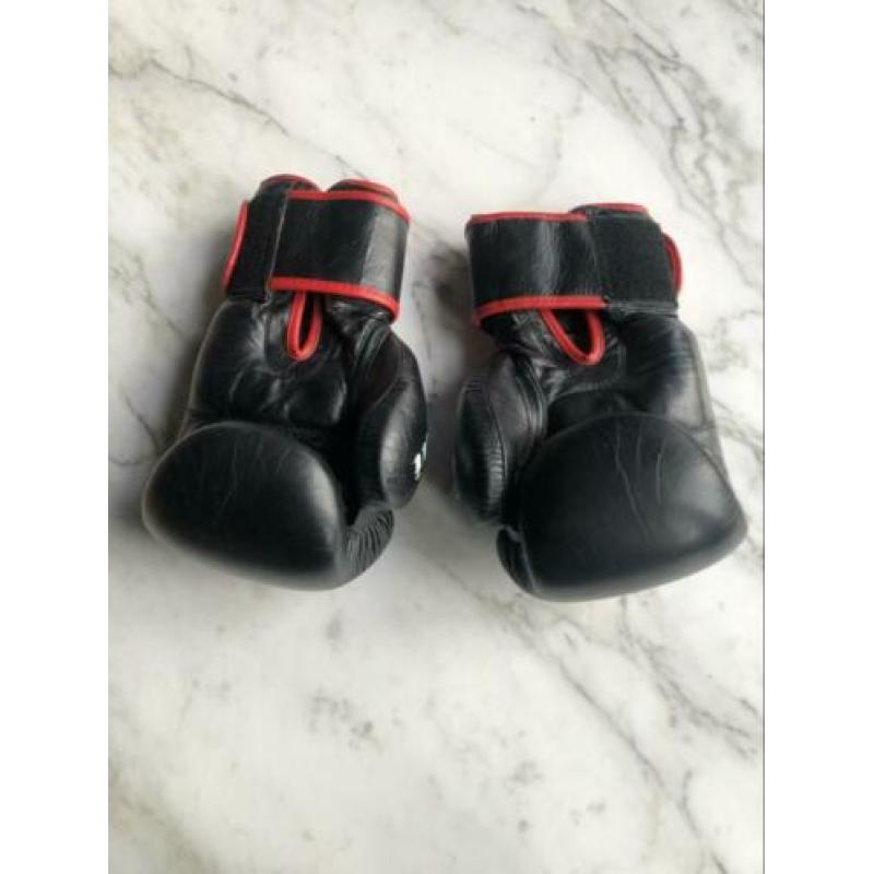 Bokshandschoenen Joya 14 -oz