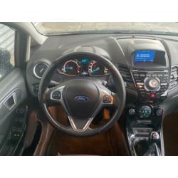 Ford Fiesta 1.6 TDCi Titanium (Climate/NAV/P.Glass/T.haak)
