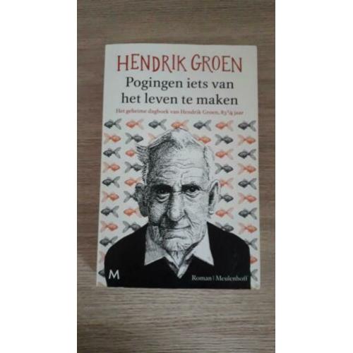Henrik Groen | Pogingen iets van het leven te maken