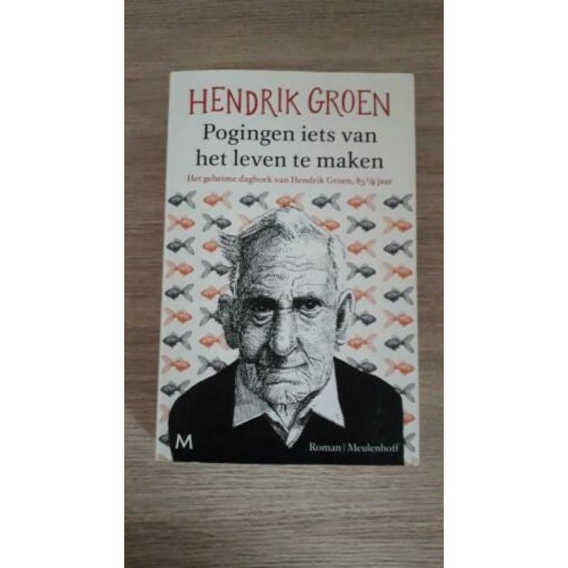 Henrik Groen | Pogingen iets van het leven te maken