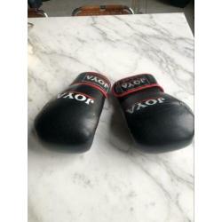 Bokshandschoenen Joya 14 -oz