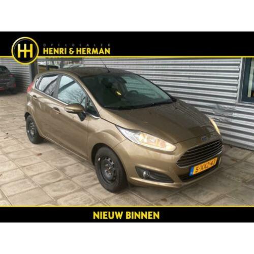 Ford Fiesta 1.6 TDCi Titanium (Climate/NAV/P.Glass/T.haak)