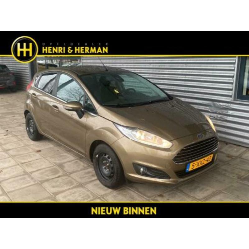 Ford Fiesta 1.6 TDCi Titanium (Climate/NAV/P.Glass/T.haak)