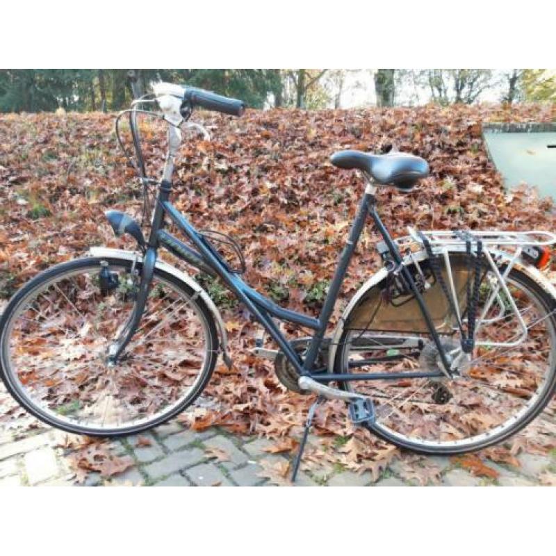 Dames fietsen