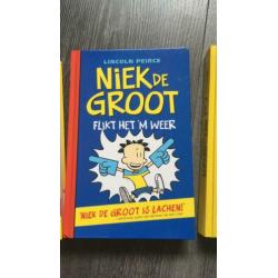 Niek de Groot