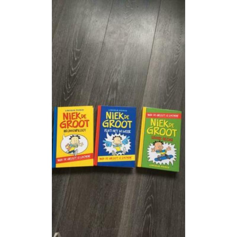 Niek de Groot