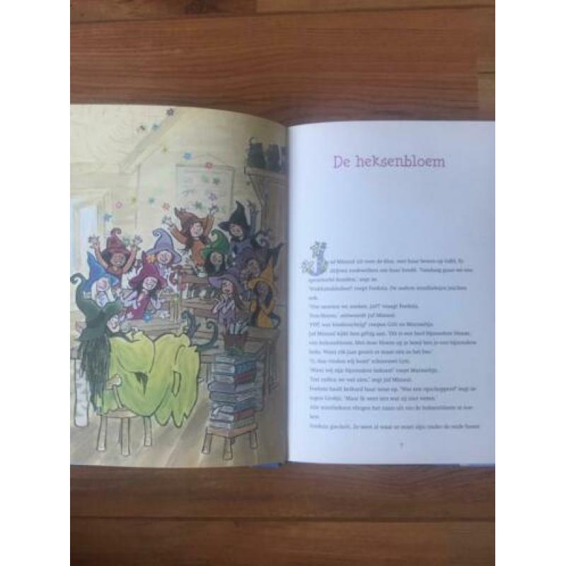 Paul van Loon - kinderboek: ‘ avonturen in het heksenbos ‘.