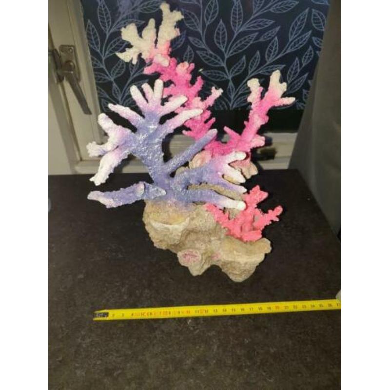 Diverse Aquariumdecoratie prijzen in beschrijving