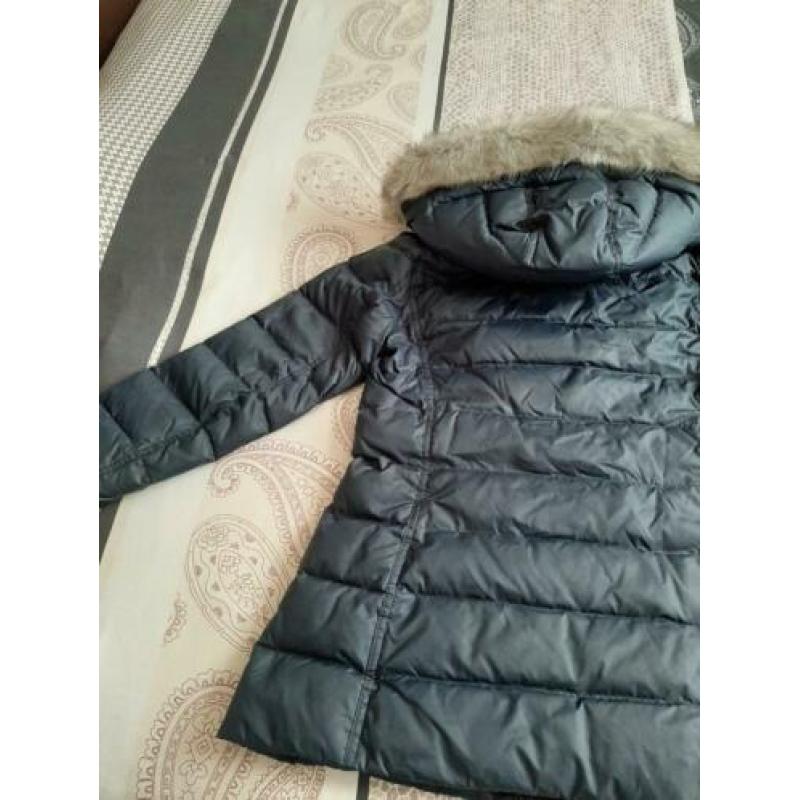 Tommy Hilfiger 36