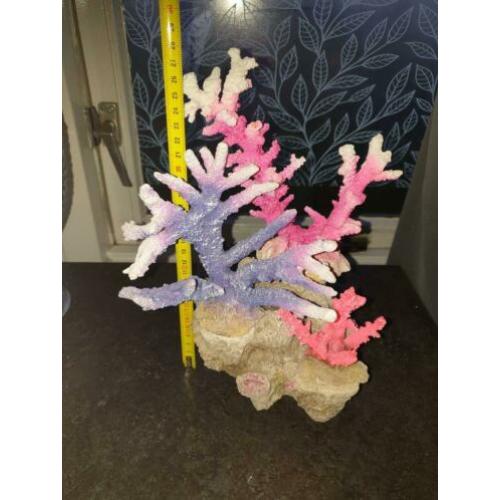 Diverse Aquariumdecoratie prijzen in beschrijving
