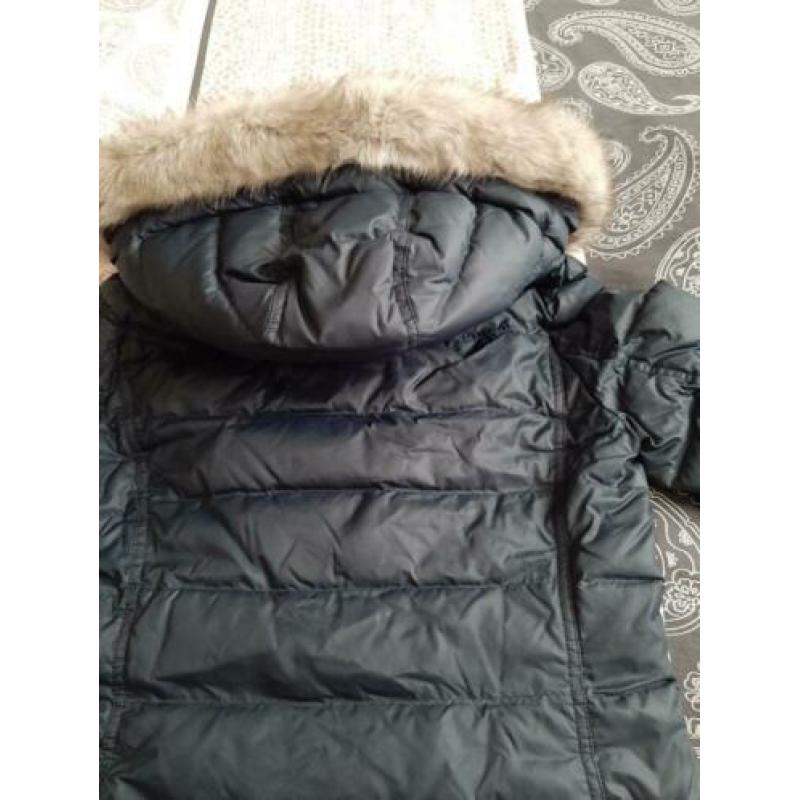 Tommy Hilfiger 36