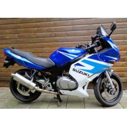 Suzuki GS 500F 35KW A2 rijbewijs
