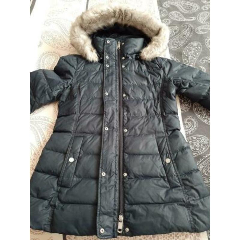 Tommy Hilfiger 36