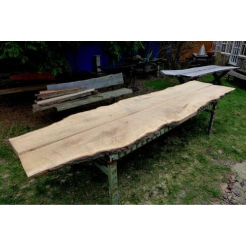 Prachtig lang eiken boomstam blad 375 cm