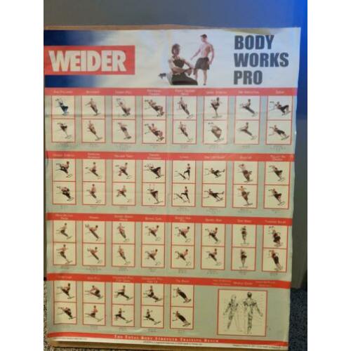 Weider body works Pro