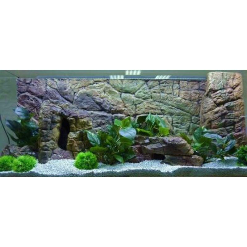 "Thin" Polyester Aquarium/Terrarium achterwanden