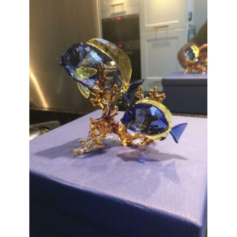 Swarovski Dokter vissen-Paar