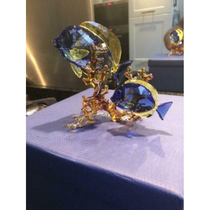 Swarovski Dokter vissen-Paar