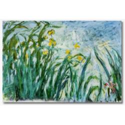 Schilderij - replica -Claude Monet INCL. baklijst