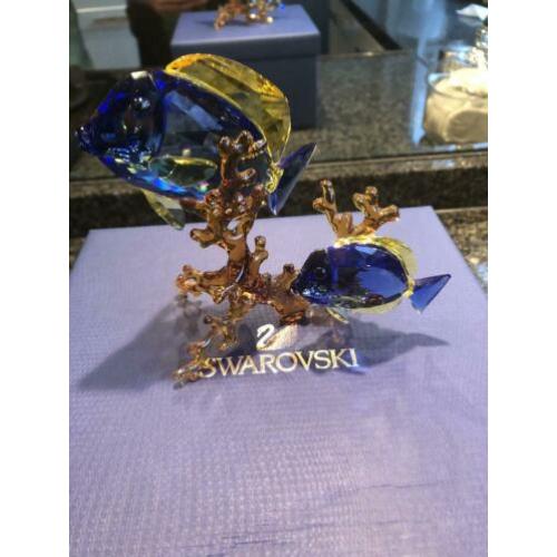 Swarovski Dokter vissen-Paar