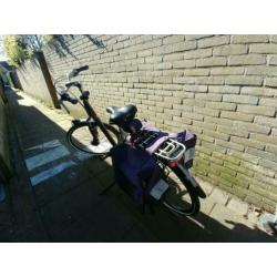 2 x limited editie gazelle fietsen.