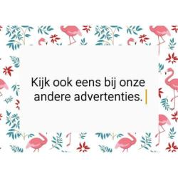 365 elfjes: verhaaltjes voor het slapen gaan