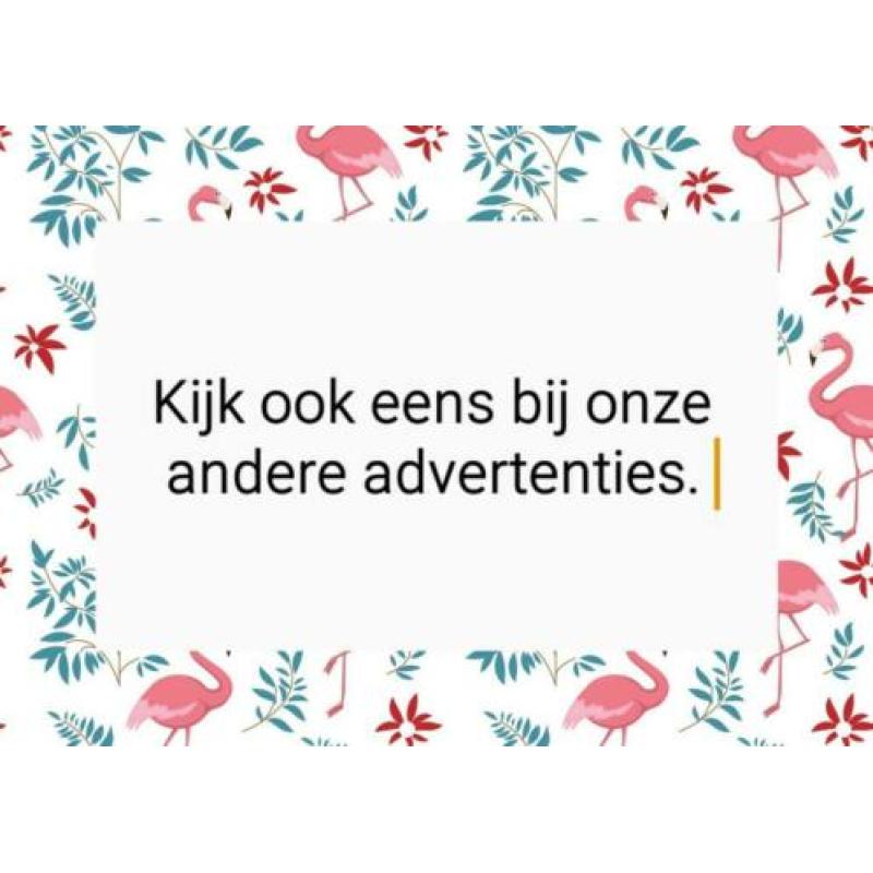 365 elfjes: verhaaltjes voor het slapen gaan