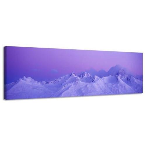 Diverse Canvas Panorama's - slechts EUR 49!