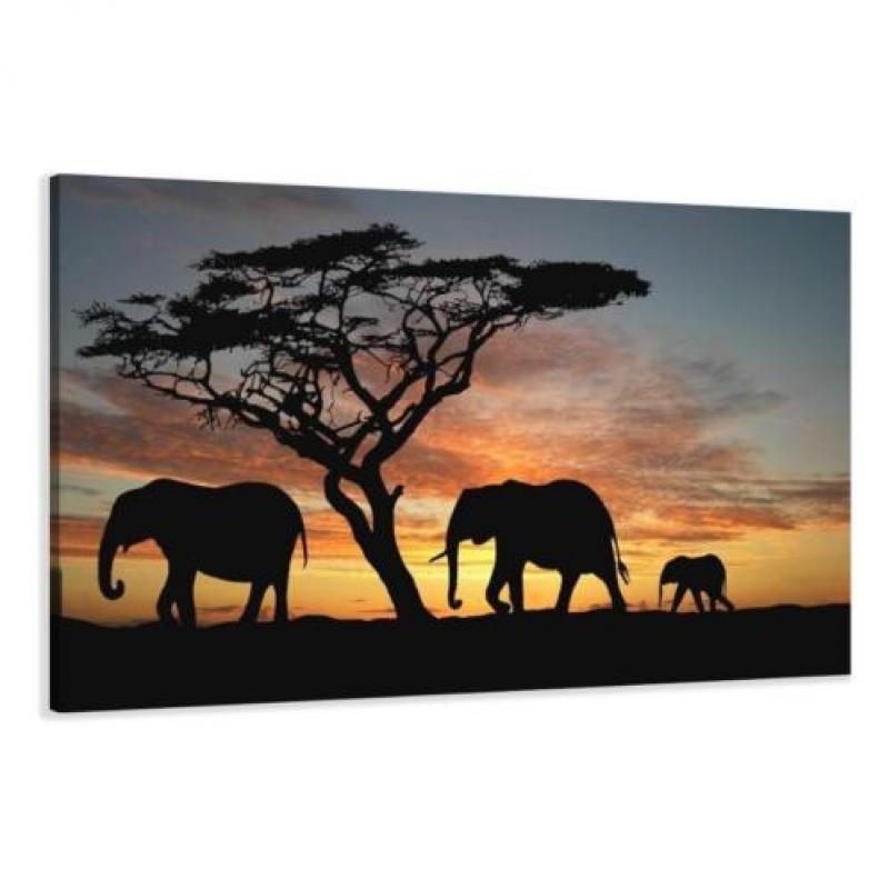 Nieuw canvas schilderij Afrika Giraffe 120 x 80 cm