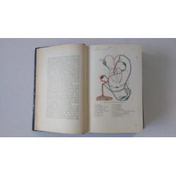 antiek boek verloskunde Prof. Hector Treub 1913