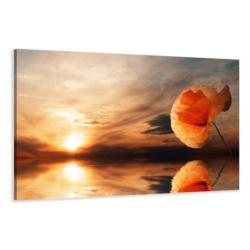 Nieuw canvas schilderij Afrika Giraffe 120 x 80 cm