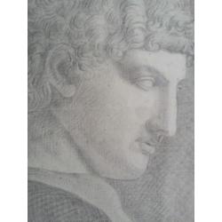 Gesigneerd Van Haeften. 1797. Tekening kop. Potlood.