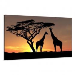 Nieuw canvas schilderij Afrika Giraffe 120 x 80 cm