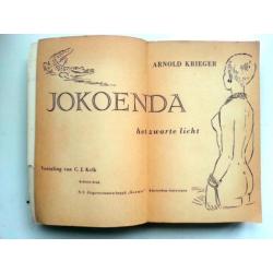Arnold Krieger - Jokoenda het zwarte licht