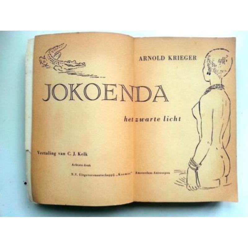 Arnold Krieger - Jokoenda het zwarte licht