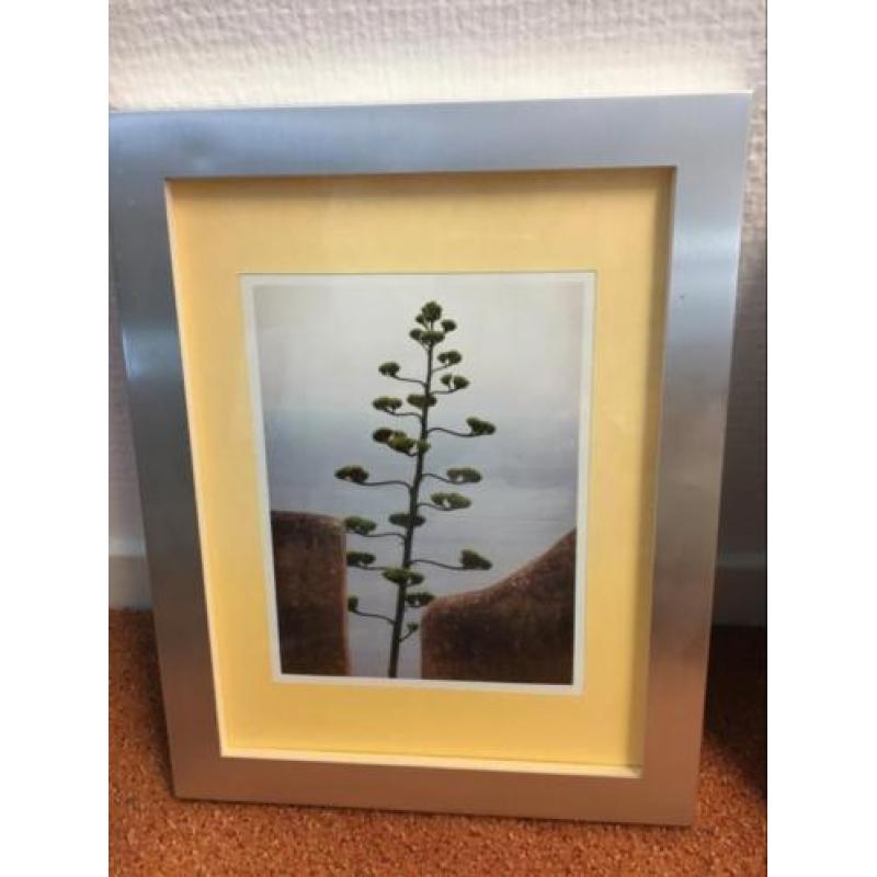 Ingelijste fotos drieluik