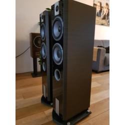 Focal 816v black ash
