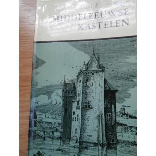Middeleeuwse Kastelen