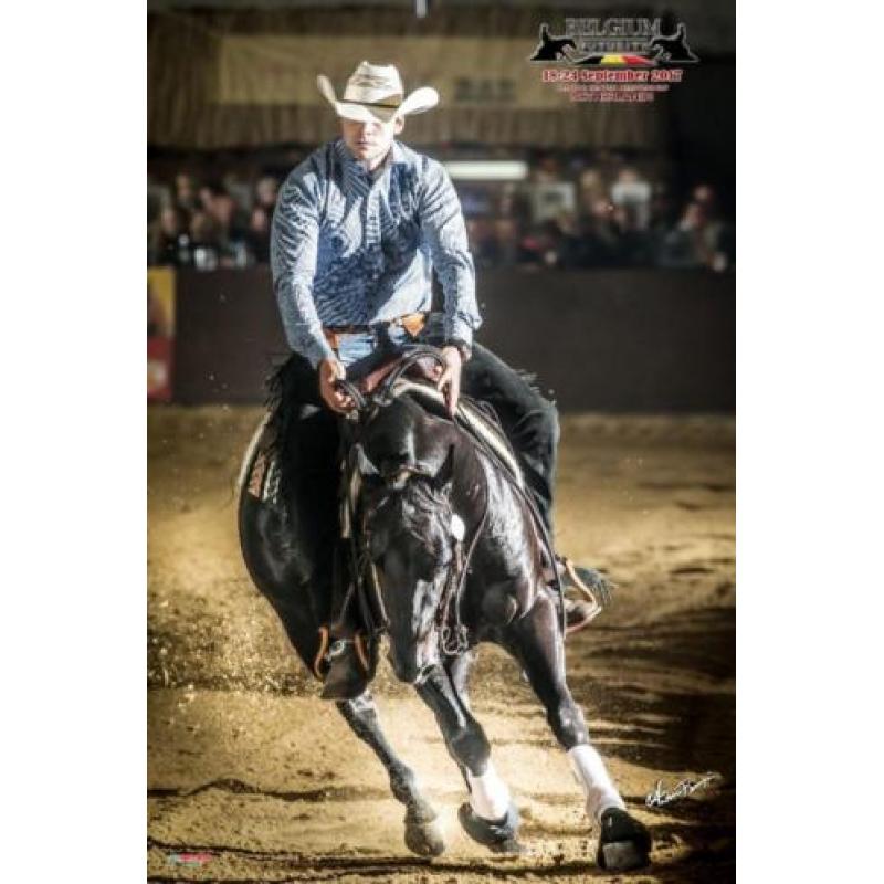 4 jarige quarter horse ruin