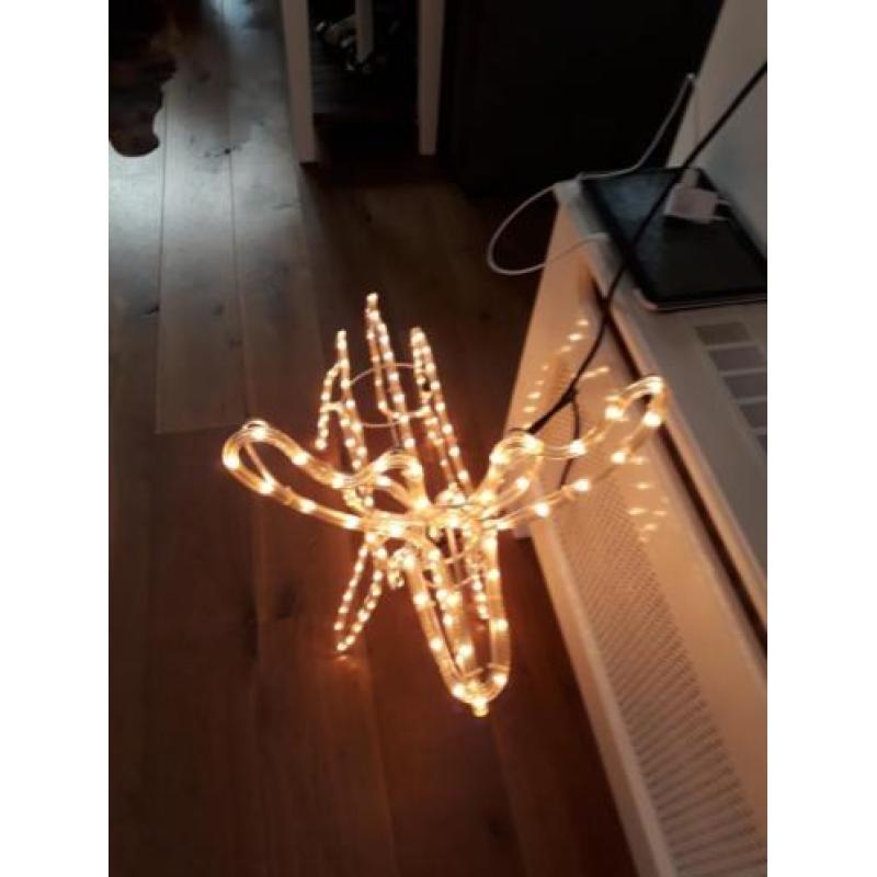 Verlicht rendier